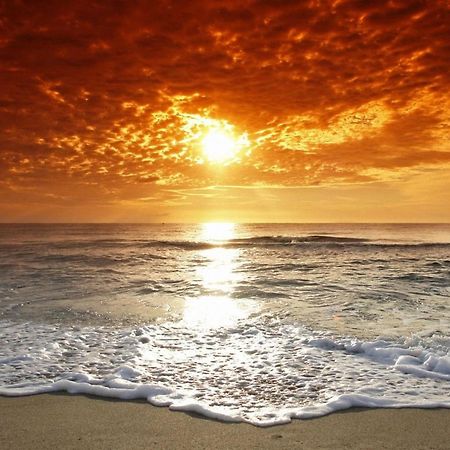 Affordable Two Bedroom Tropical Condo - Private Beach, Pools, Hot Tub San Petersburgo Exterior foto